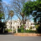 Stellenbosch University