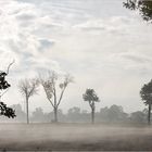 stellenweise Nebel -