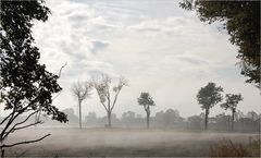 stellenweise Nebel -