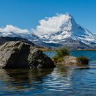 Stellisee (13:20 Uhr)