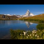 Stellisee mit Matterhorn