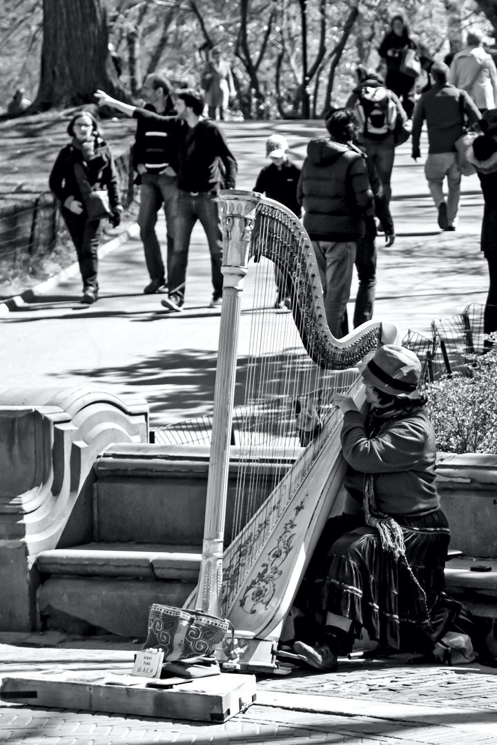 Stellt Euch vor, es sitzt ein Engel im Central Park, New York, und keinen interessiert's