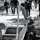 Stellt Euch vor, es sitzt ein Engel im Central Park, New York, und keinen interessiert's