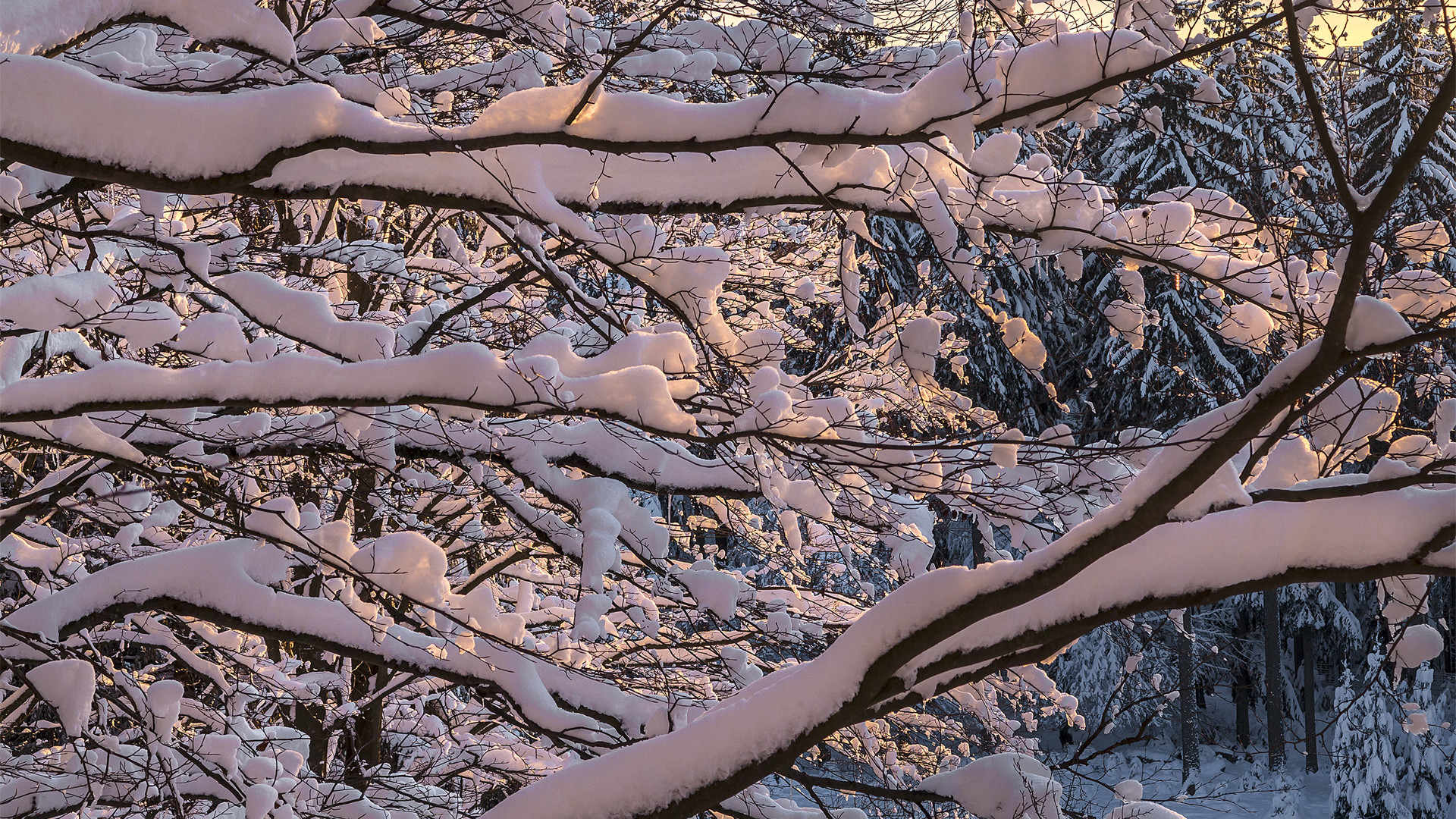 Stellt Euch vor, es wäre Winter und es hätte geschneit!