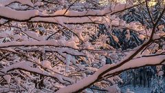 Stellt Euch vor, es wäre Winter und es hätte geschneit!