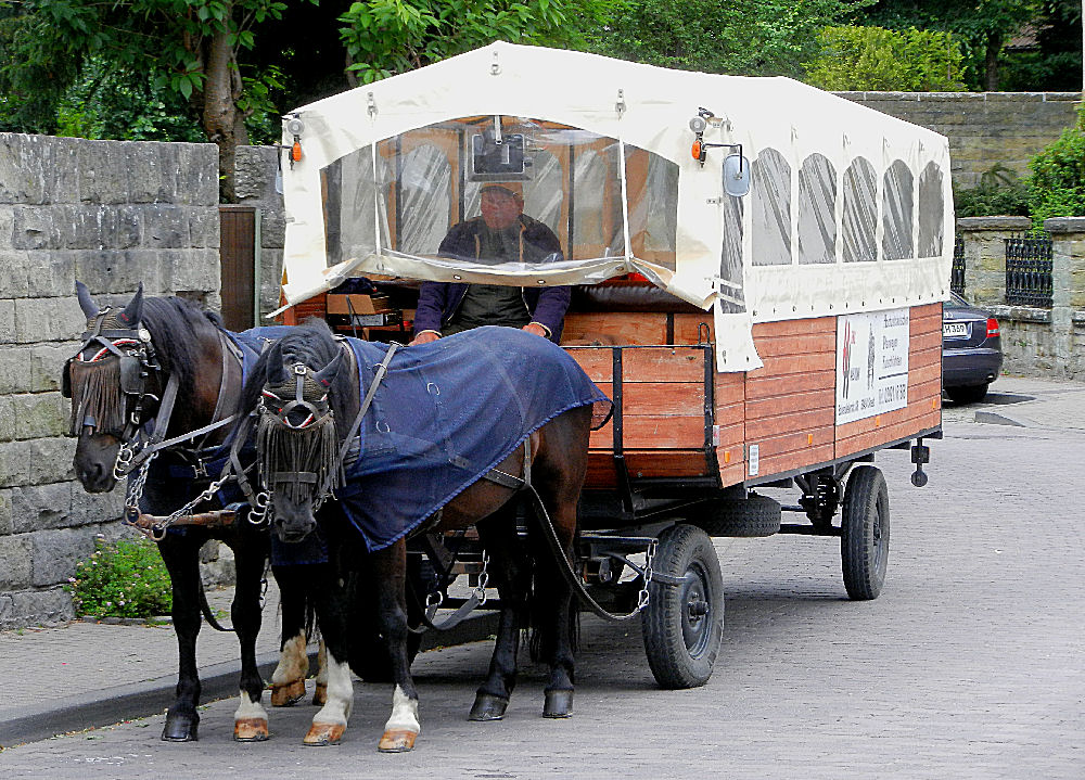 Stellwagen in Soest