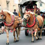 Stellwagen mit 2 PS in Meinigen/Thüringen