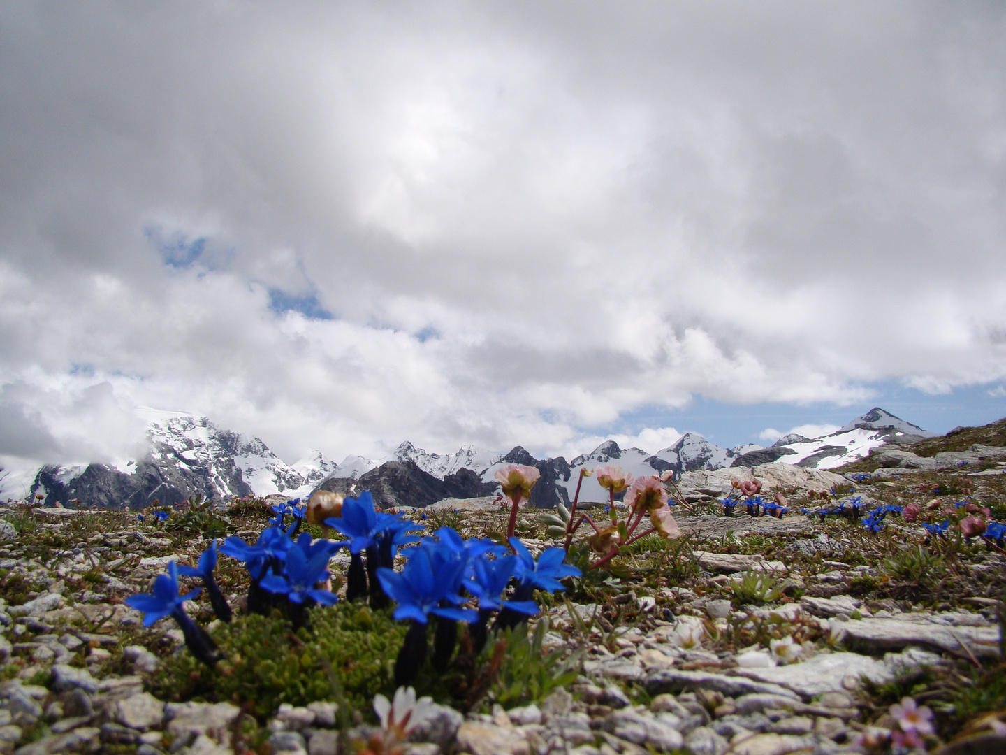 Stelvio