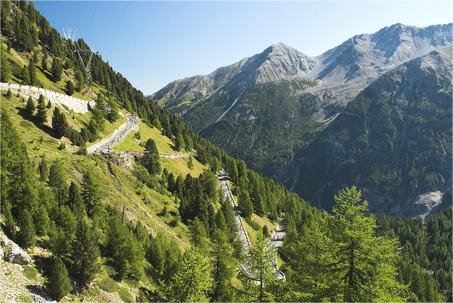 Stelvio bike