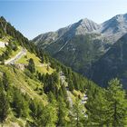 Stelvio bike