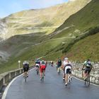 Stelvio Bike