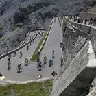 Stelvio Bike Day