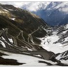 STELVIO.........