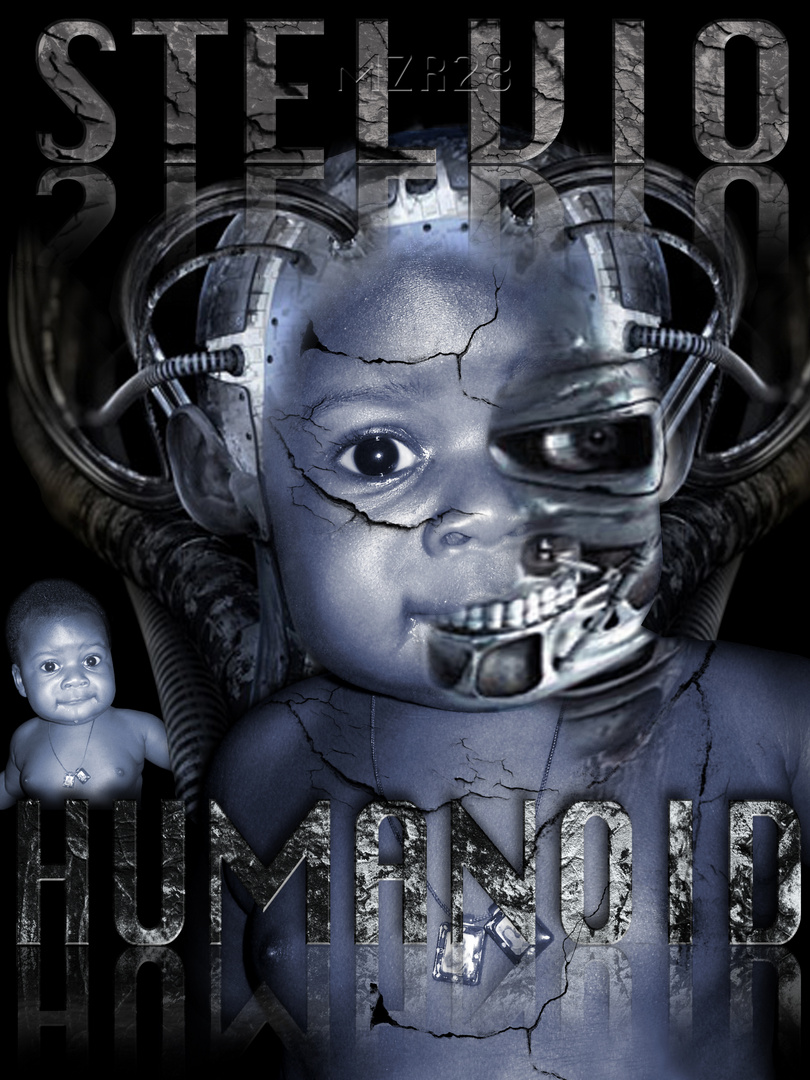 Stelvio Humanoid