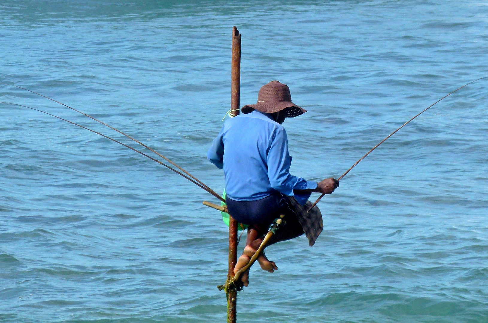 Stelzenfischer in Sri Lanka