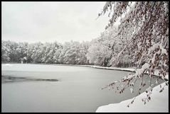 Stempflesee im Winter