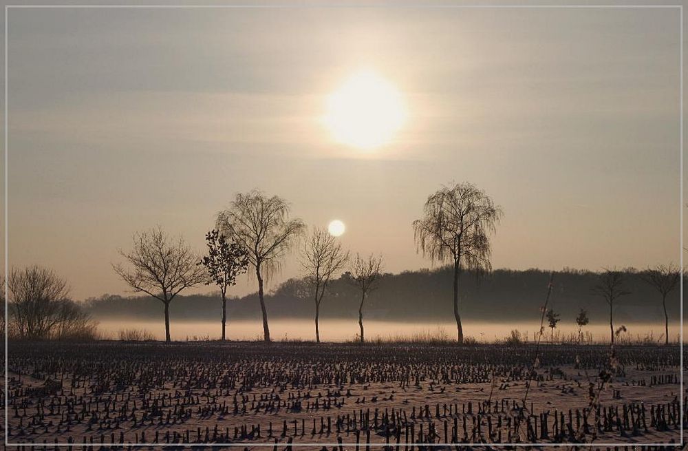 Stemwede in einem besonderen Licht von Dora 70 