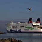 STENA LINE