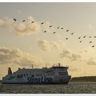 Stena Scandinavica verlässt die Kieler Bucht