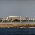 STENSTRAUM /  Oil/chemical Tanker / Maasmond / Rotterdam