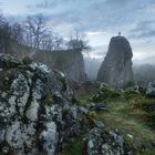 Stenzelberg im Siebengebirge -mystisch-