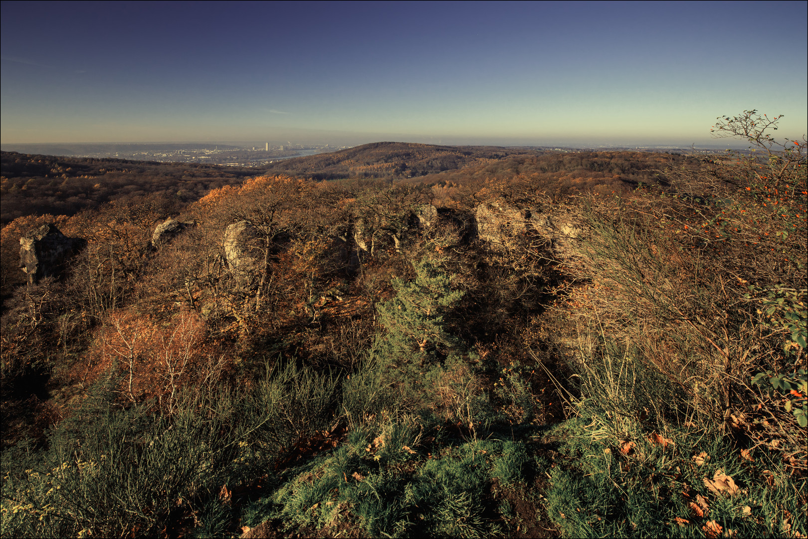 Stenzelberg-View