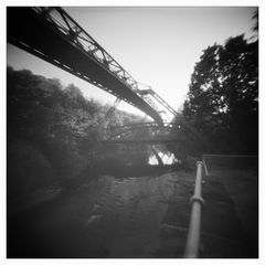 Stephanrose-NOON-Pinhole-29-09-2022-1-Bearbeitet Kopie