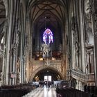 Stephansdom Blick zur Riesenorgel