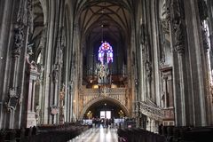 Stephansdom Blick zur Riesenorgel