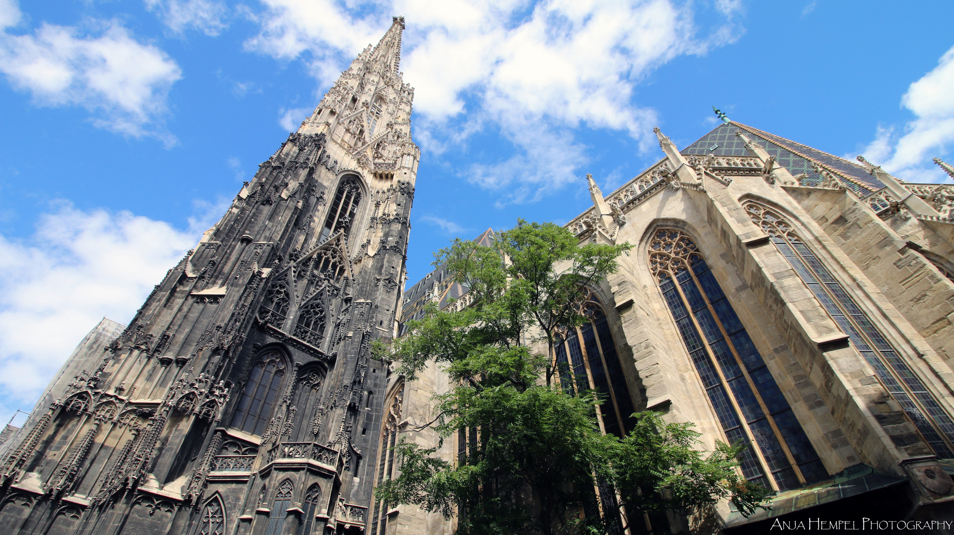 Stephansdom