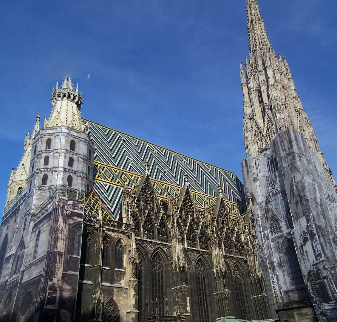 Stephansdom Foto & Bild | europe, Österreich, wien Bilder auf fotocommunity