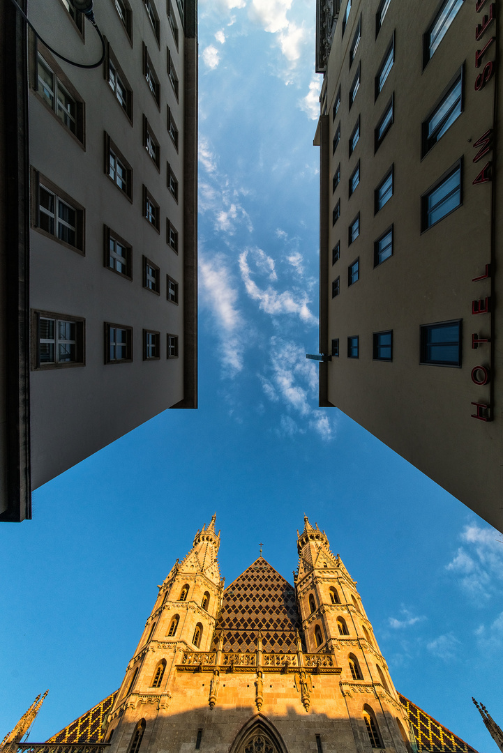 Stephansdom einmal anders