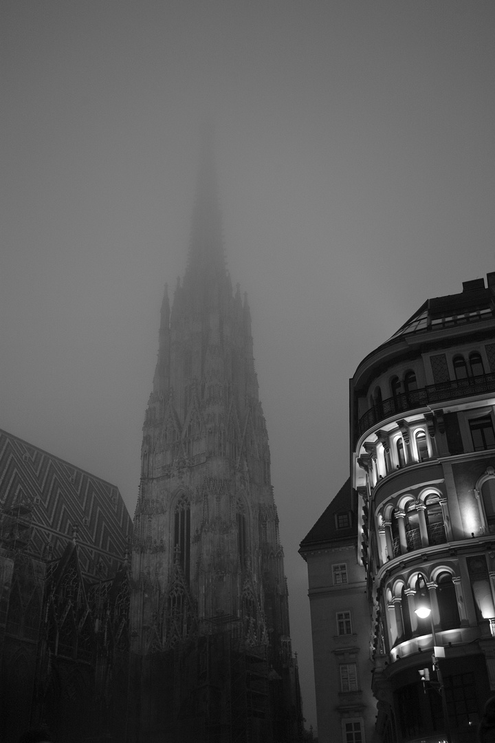 Stephansdom im Nebel