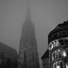 Stephansdom im Nebel