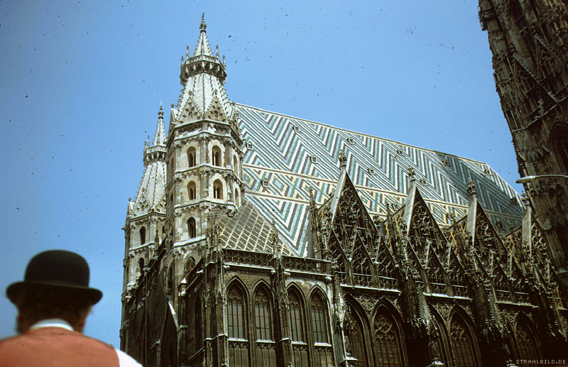 stephansdom visto attraverso gli occhi di un turista che si siede su un carrello del cavallo