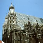 stephansdom visto attraverso gli occhi di un turista che si siede su un carrello del cavallo