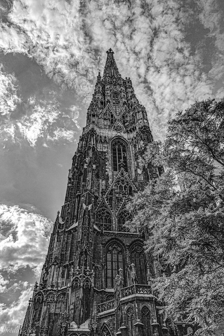 Stephansdom-Wien