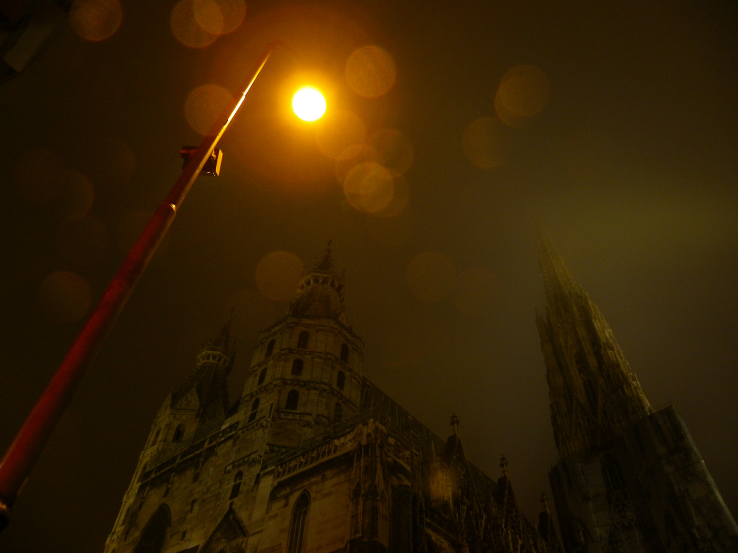 Stephansdom (Wien) in a foggy, little rainy evening...