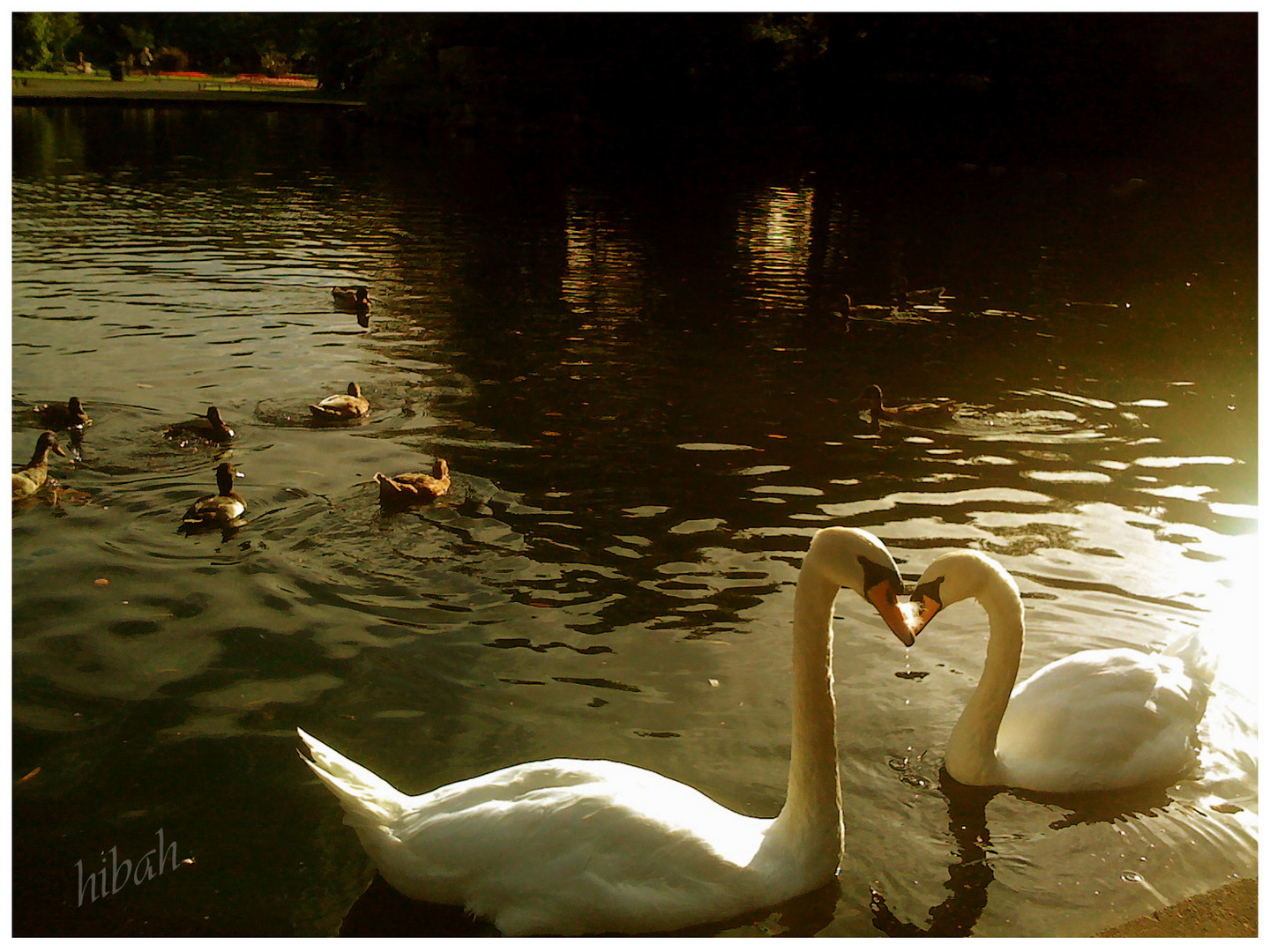 Stephen Green Park