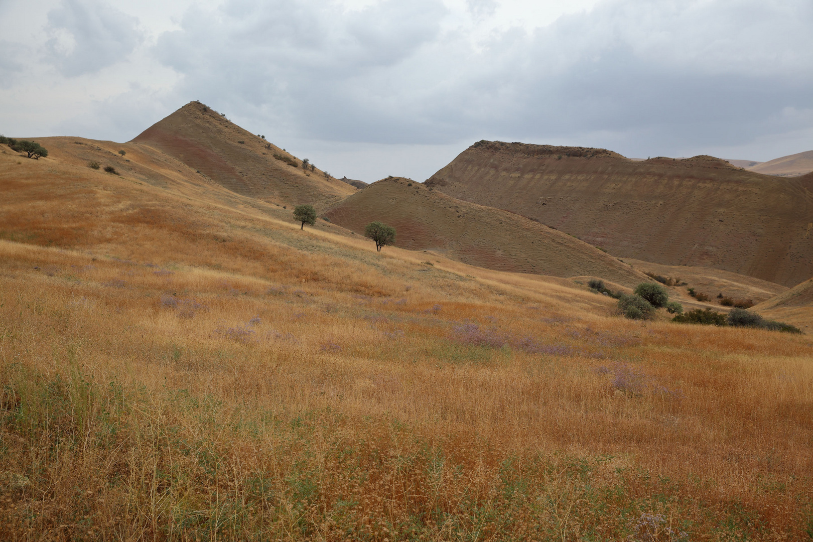 Steppe bei Udabno