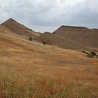 Steppe bei Udabno