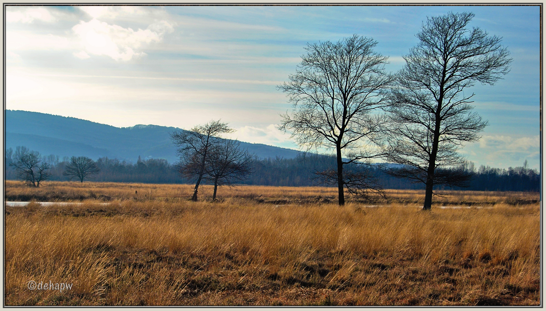 Steppe im Hiller Moor 2