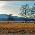 Steppe im Hiller Moor 2