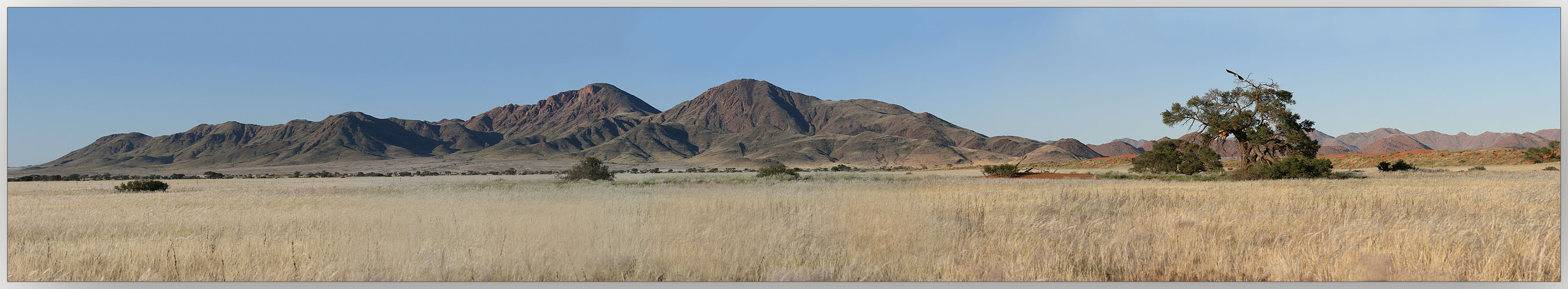 Steppe in Namibia