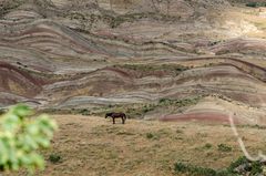 Steppe östlich von Tiflis