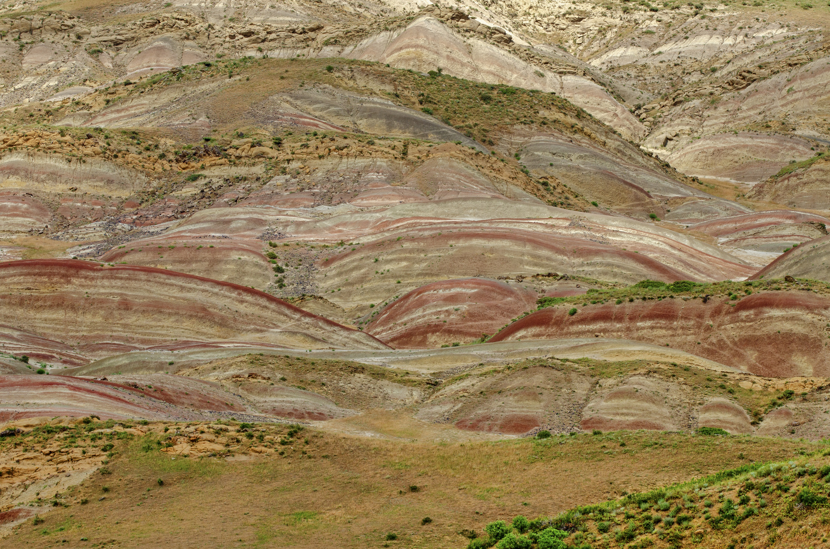 Steppe östlich von Tiflis