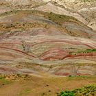 Steppe östlich von Tiflis