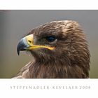 Steppenadler