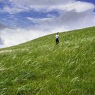 Steppenlandschaft in Georgien