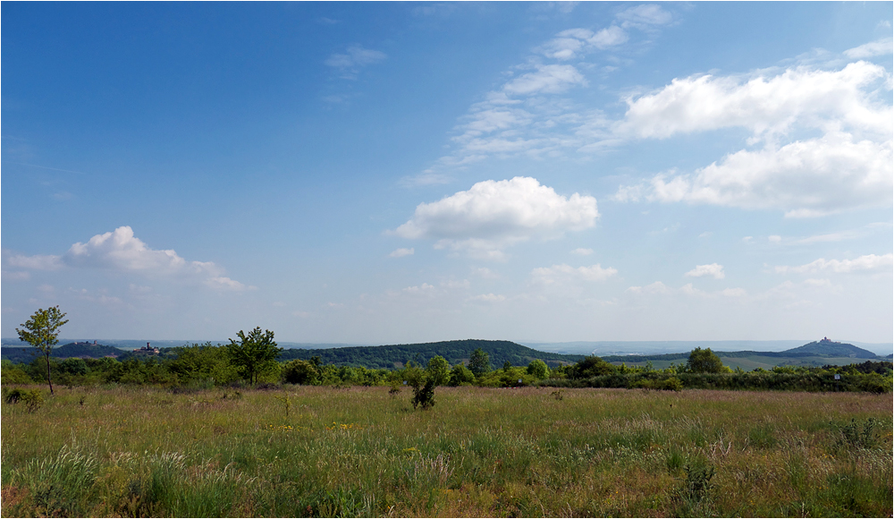 Steppenlandschaft mit 3 Burgen